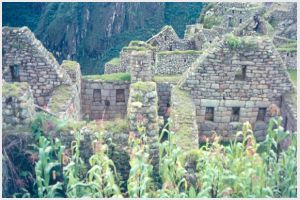 8_Machu Picchu (21).jpg